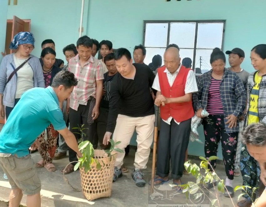 ‘Green Pughoboto’ block-wise plantation drive continues with villagers, officers, students, churches, etc. (DIPR Photo)